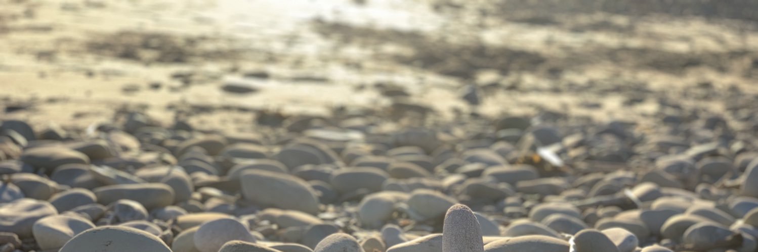 SepiAghdaee's profile banner image