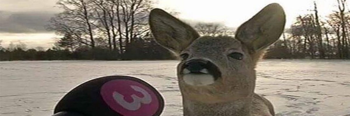 n0d0d0's profile banner image