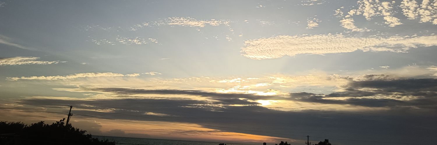 sleepneveragain's profile banner image