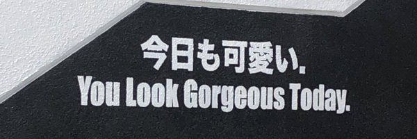 tom_kinoco Profile Banner