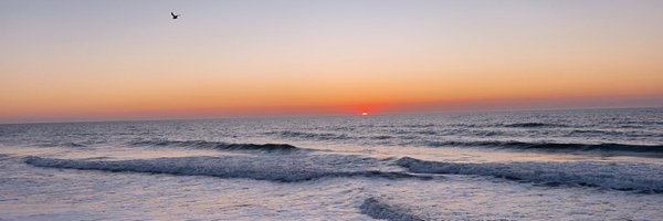 kayci_ch Profile Banner