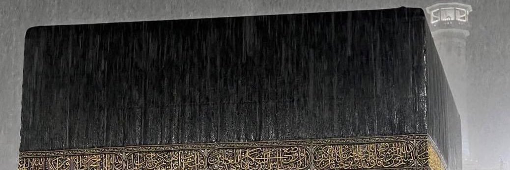 wpaann's profile banner image