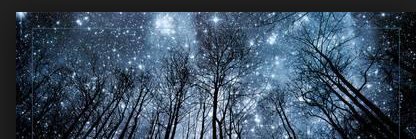 chopra_reena's profile banner image
