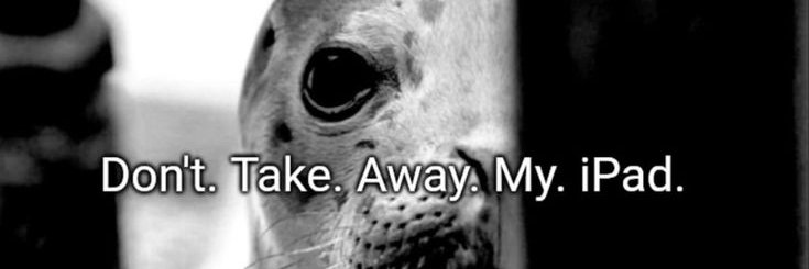 _qwertychr's profile banner image