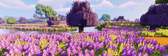 XDveneriusVRG's profile banner image