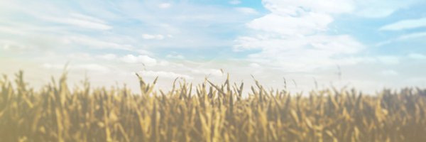 haedoming_V Profile Banner