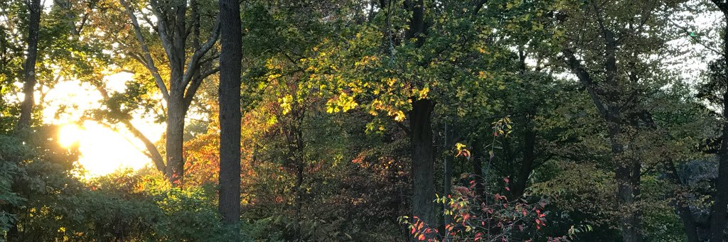 kkmistry's profile banner image