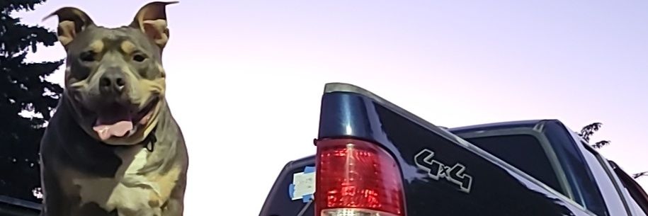 So_Excelente's profile banner image
