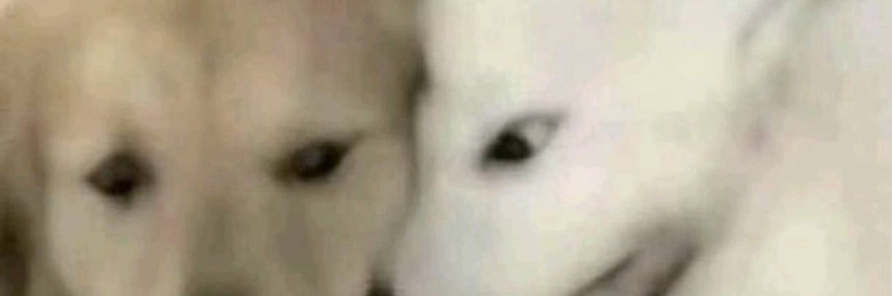 𝘿𝙀𝙍𝙀𝙎𝙀𝙄𝘼𝙉 banner