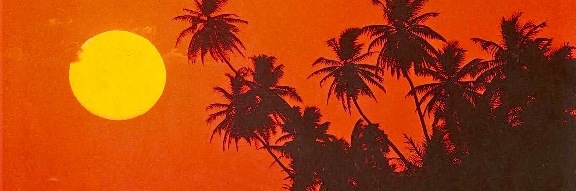𝘽𝙍𝘼𝙕𝙄𝙇𝙄𝘼𝙉 𝙏𝙀𝙏𝙊! banner