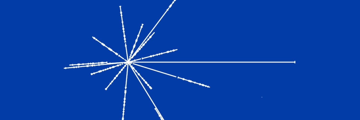 Dan Araya banner