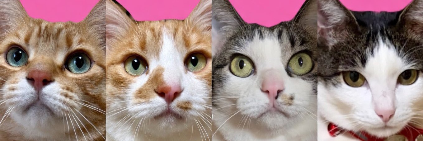 よもぎあんモナカ🫘🍨 banner