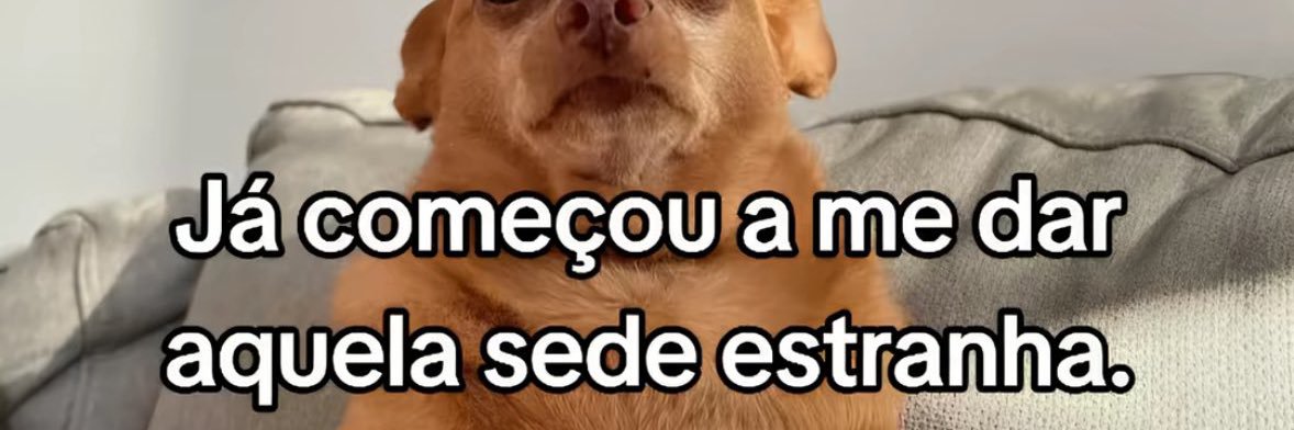 Íris Oliveira banner