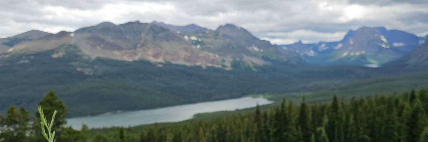 BRingsaker's profile banner image
