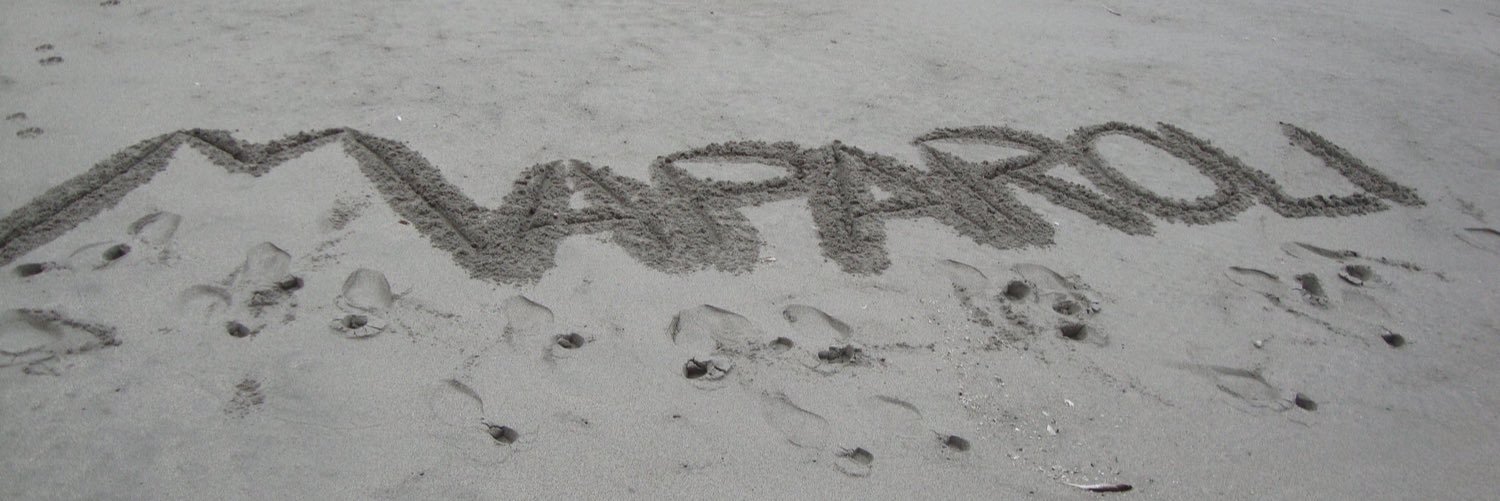 maparolita's profile banner image