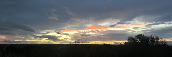 Cocosmica Profile Banner