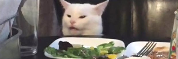 MsMacow's profile banner image