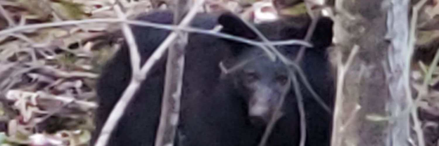 missing_freedom's profile banner image