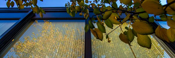 UChicagoCrown Profile Banner