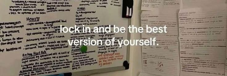 zav ²⁷ ^᪲᪲᪲ banner