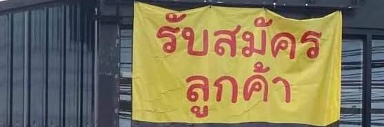 Yellowcup44's profile banner image
