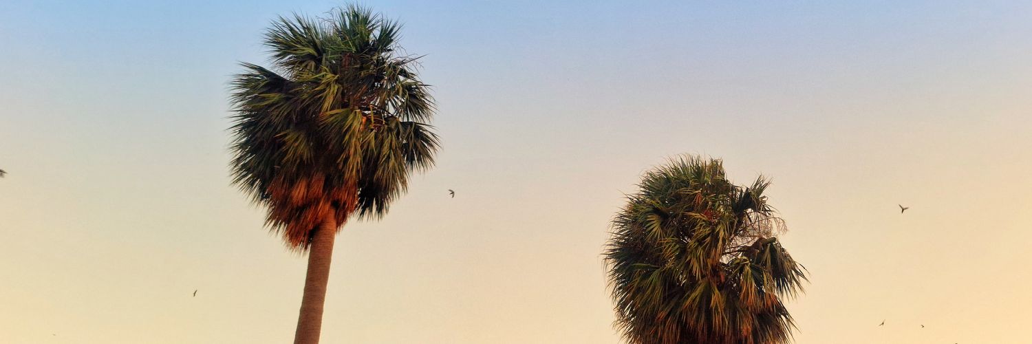 blair or b, tbh. banner