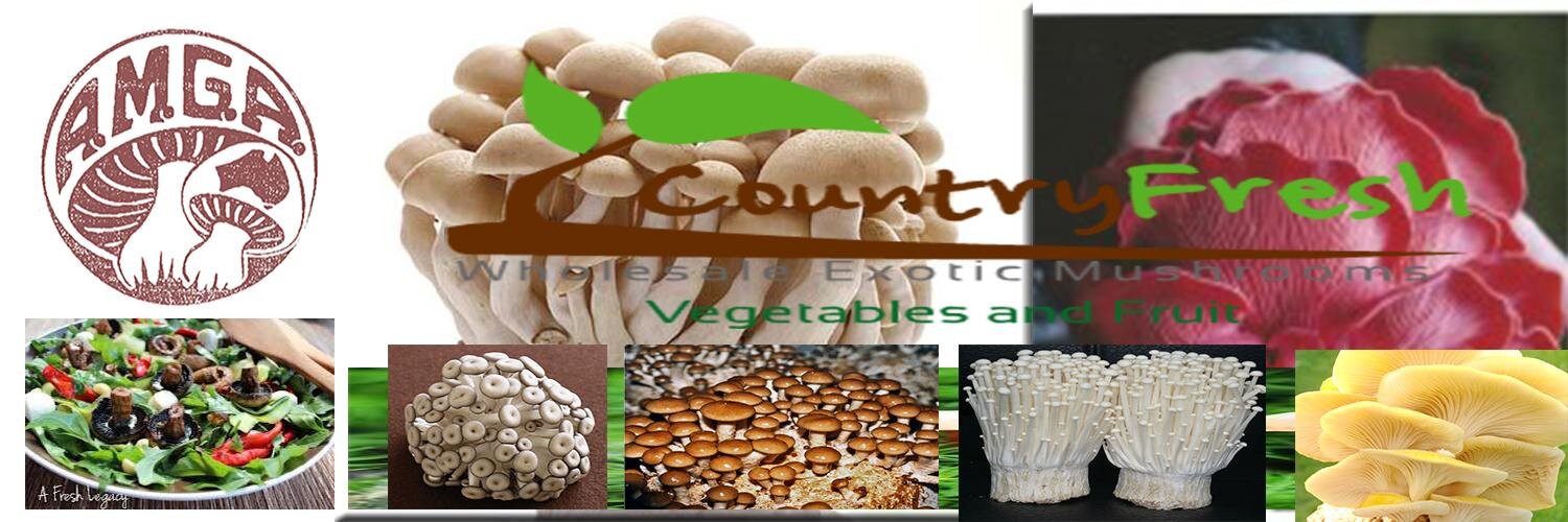 cfreshmus's profile banner image