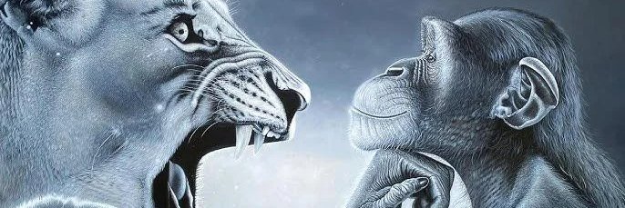 croozy banner