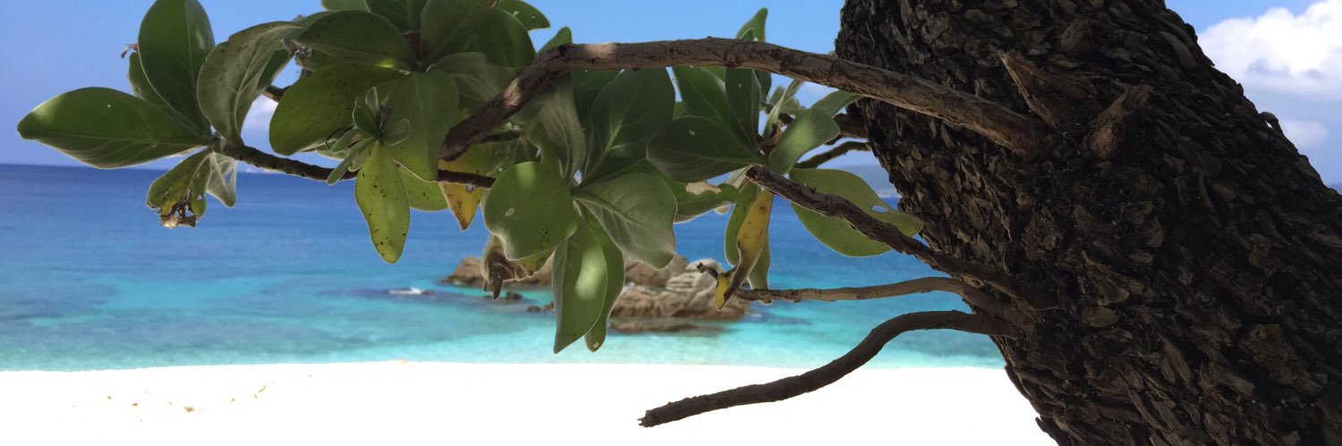 naokipma's profile banner image
