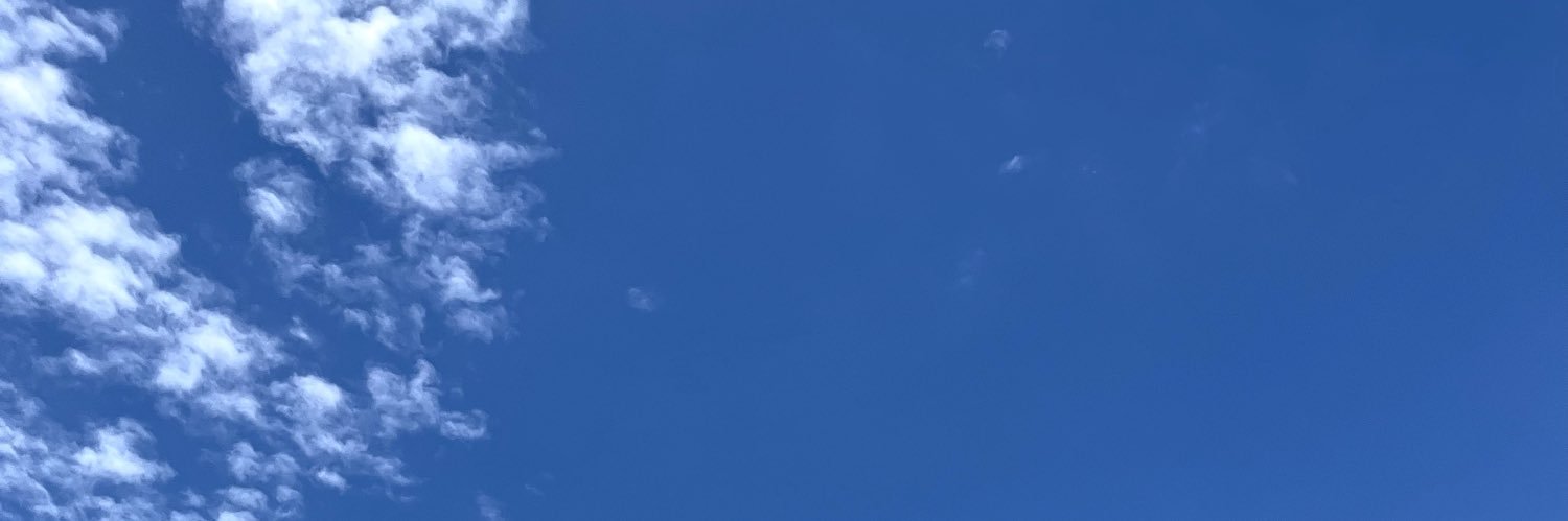 VF banner