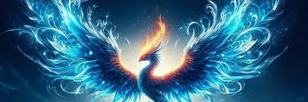 anapat802's profile banner image