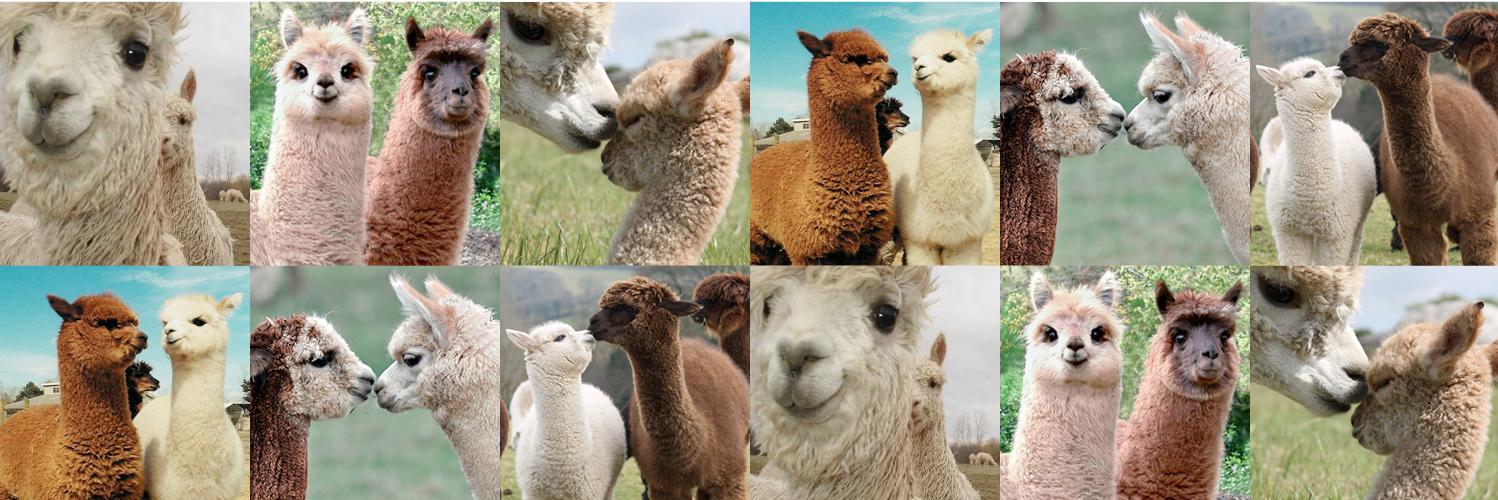 Alejandra Diaz banner