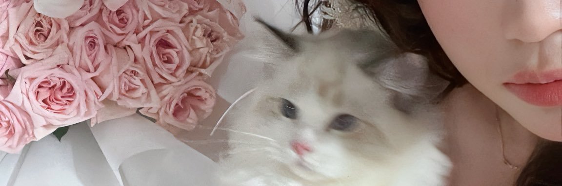 喜欢小猫 banner