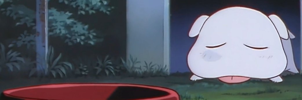 fairyfucker79🔞 banner