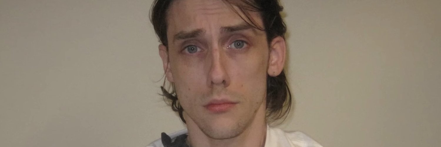 did i pet my piplup today? banner