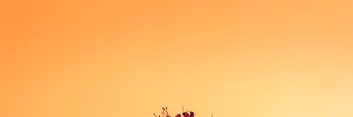 VTKM819's profile banner image