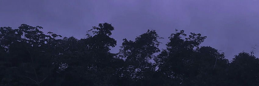 SyedMustafa56's profile banner image