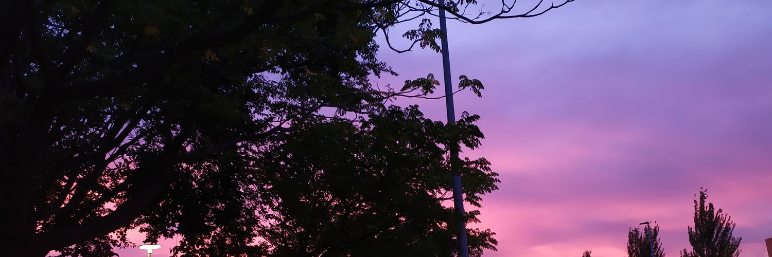 ZoraydaRM's profile banner image