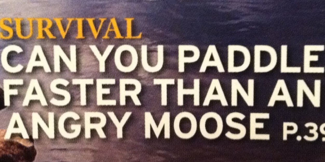 MindofMoose's profile banner image