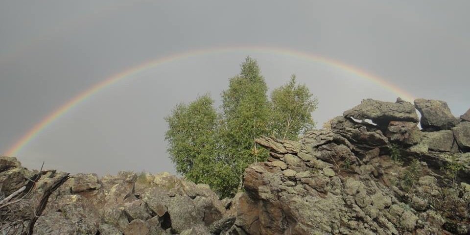 Bext_nema's profile banner image
