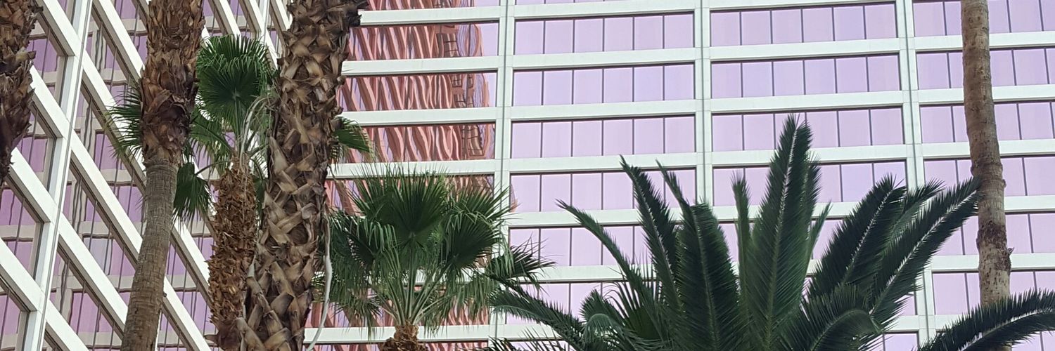 shannymclee's profile banner image