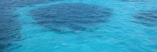 Feliangel #yosoydelatribu banner