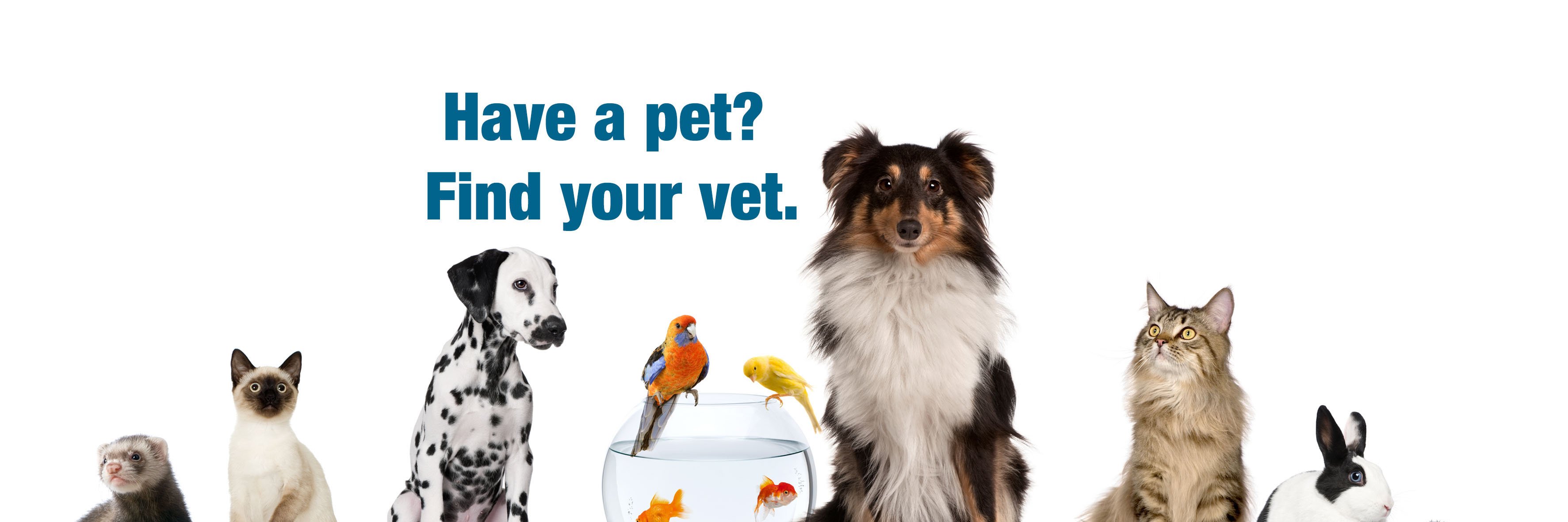 localvets's profile banner image