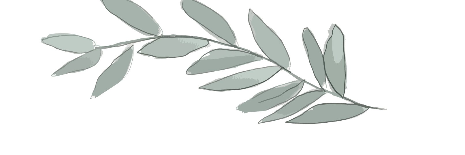 ChicadelQuinto's profile banner image