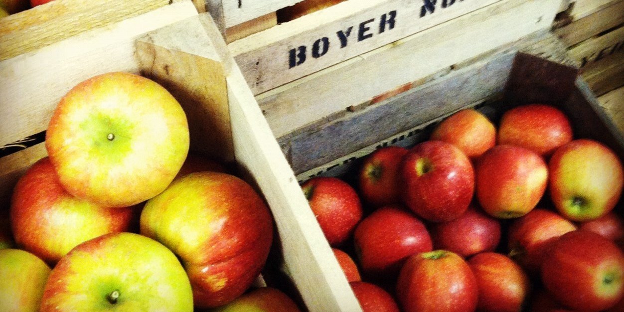 BoyerNurseries's profile banner image