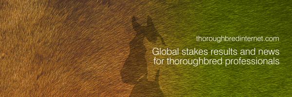 thoroughbredint Profile Banner