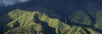 3501502's profile banner image