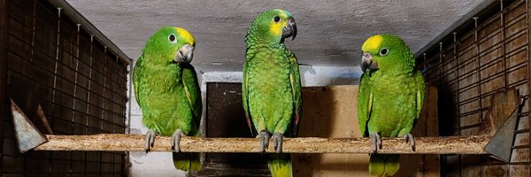 TothNorbert25 Profile Banner