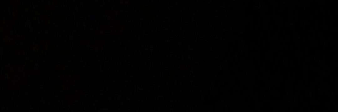Plantoffspring's profile banner image