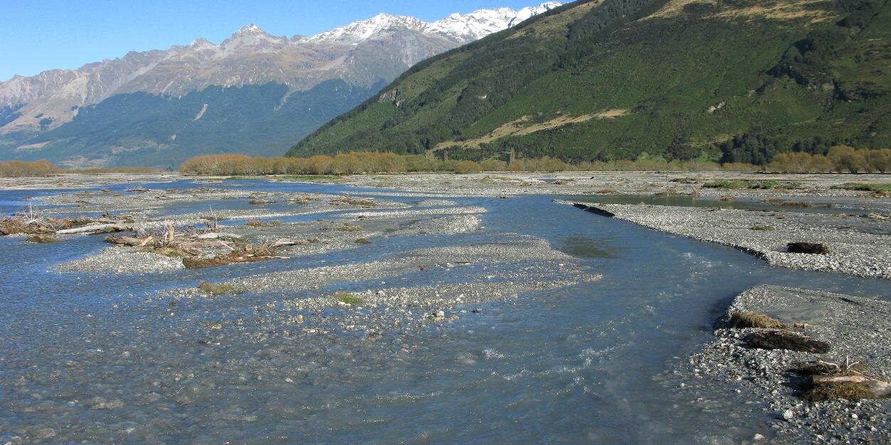 Richard Williams banner